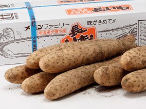 夕張市産ながいも